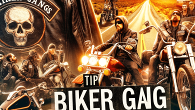 Best Biker Gang TV Shows